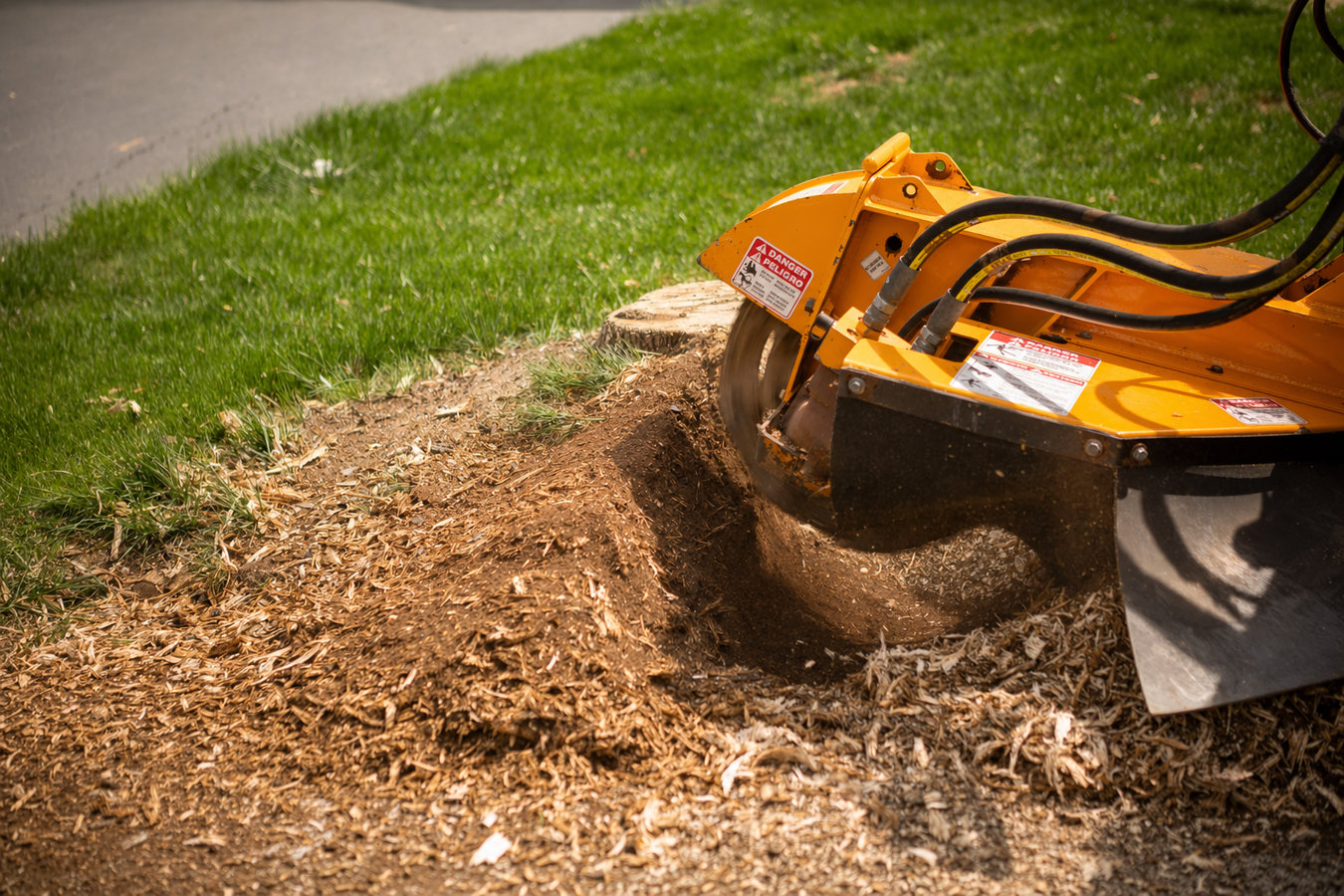 Stump Grinding in Moreno Valley, CA
